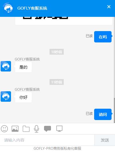 GOFLY客服访客界面